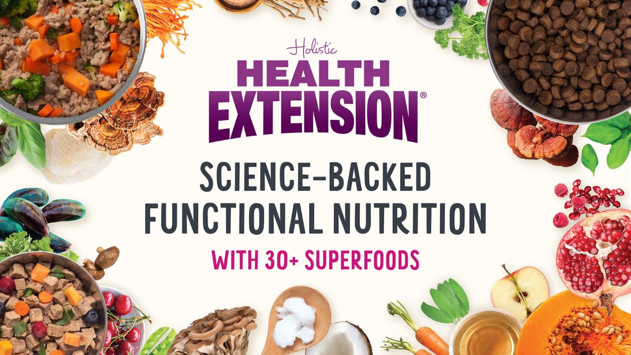 Ensuring Safe Food for All: The Significance of World Food Safety Day