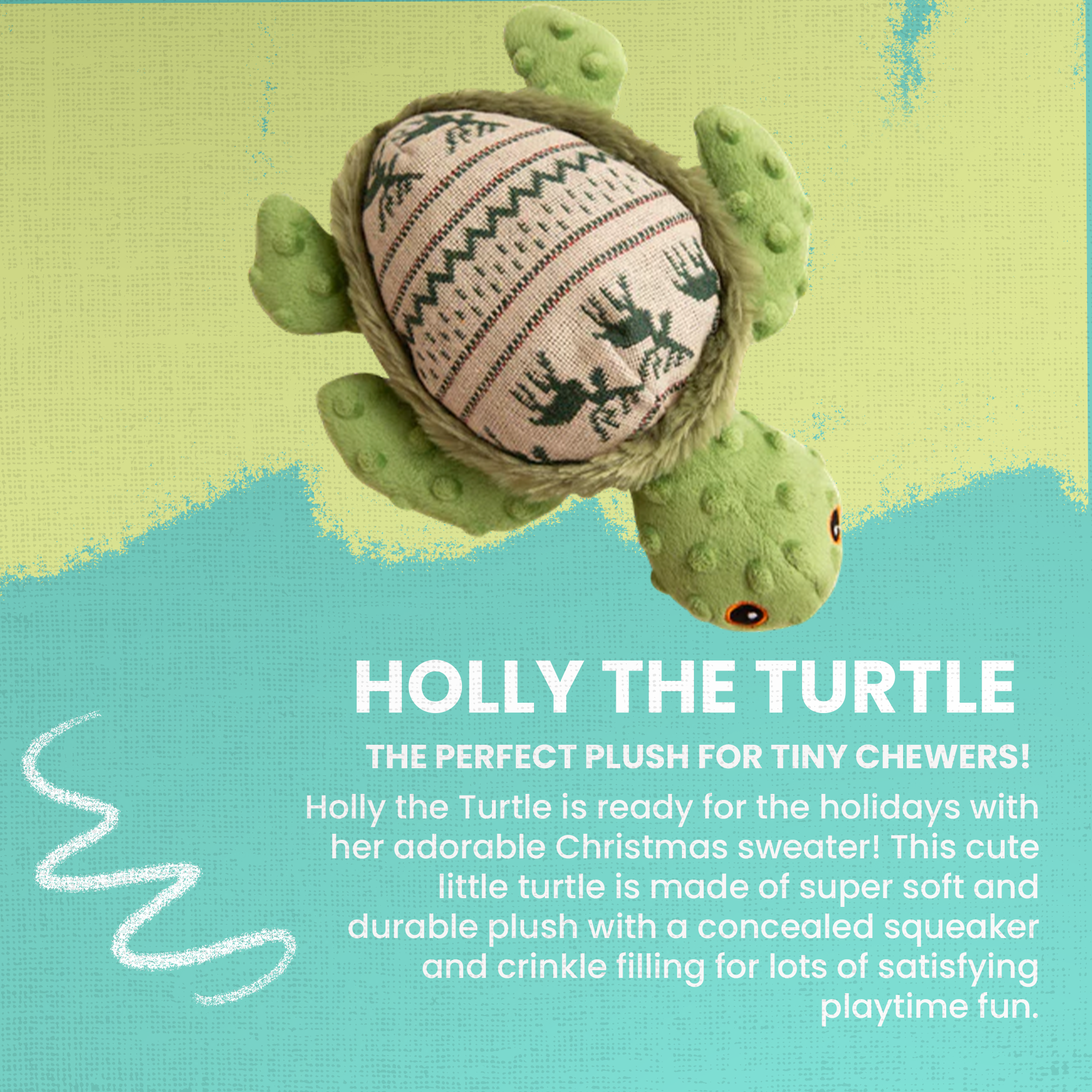 Holly the Turtle