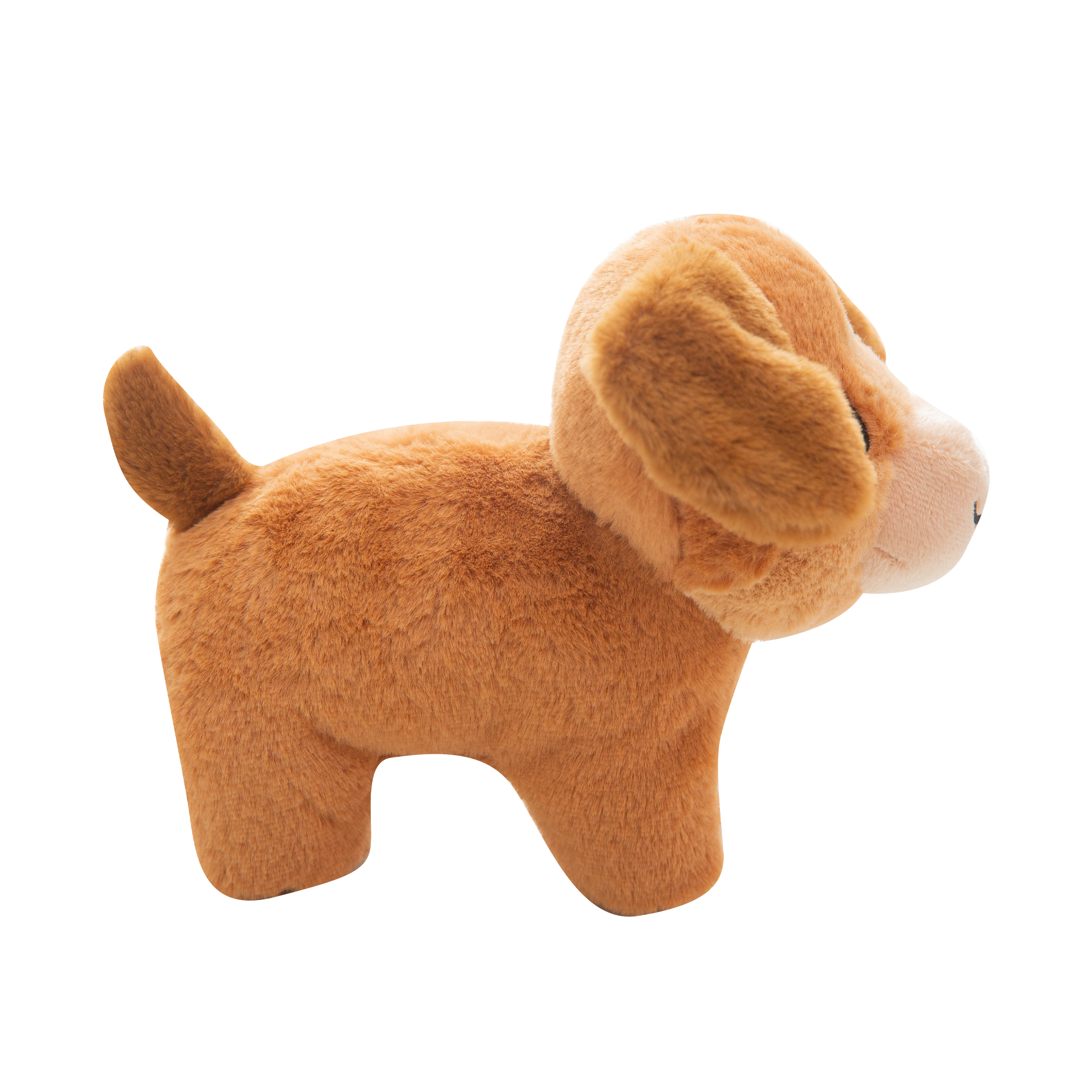 Biscuit