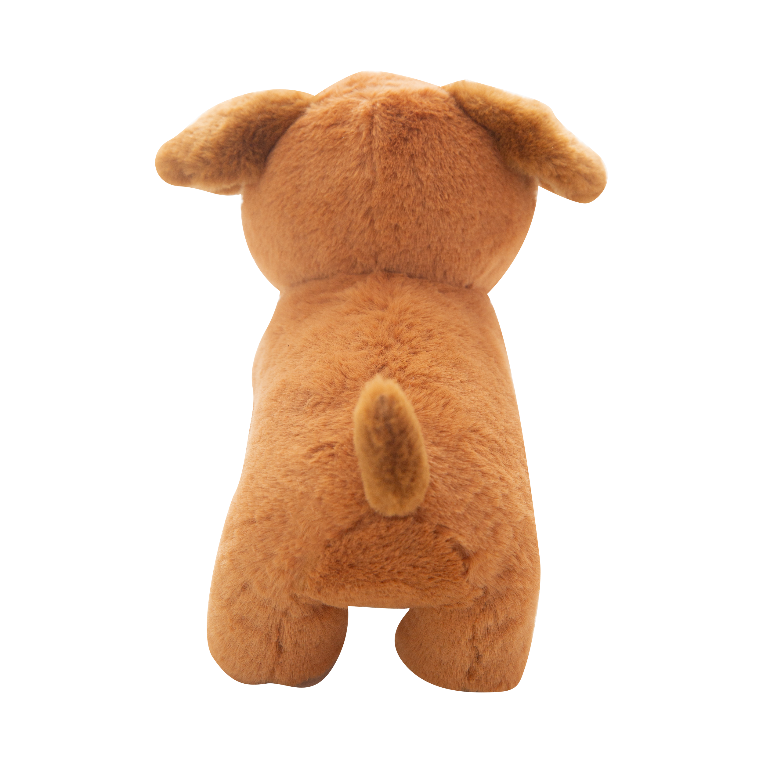 Biscuit