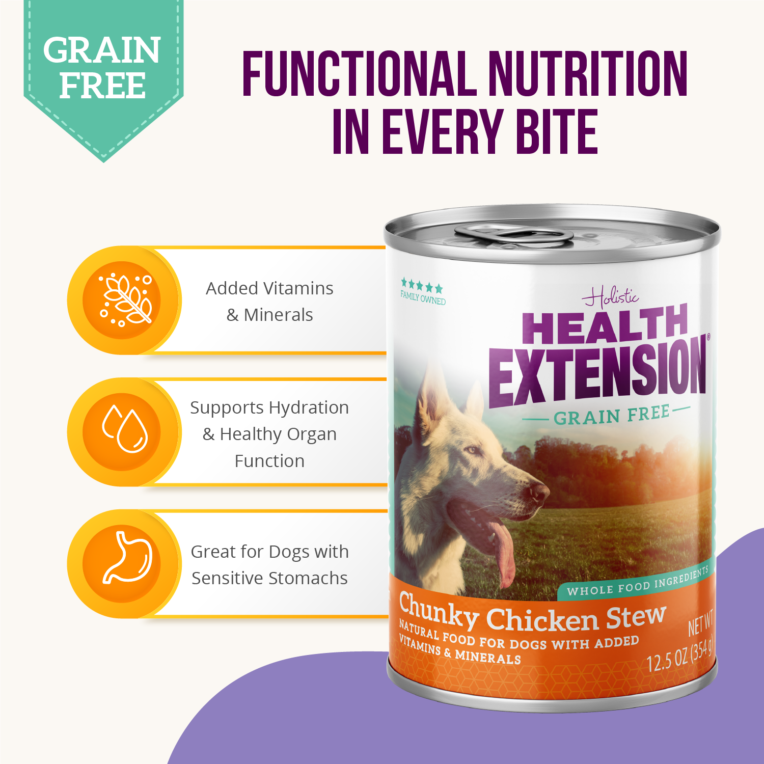 Grain Free Chunky Chicken Stew
