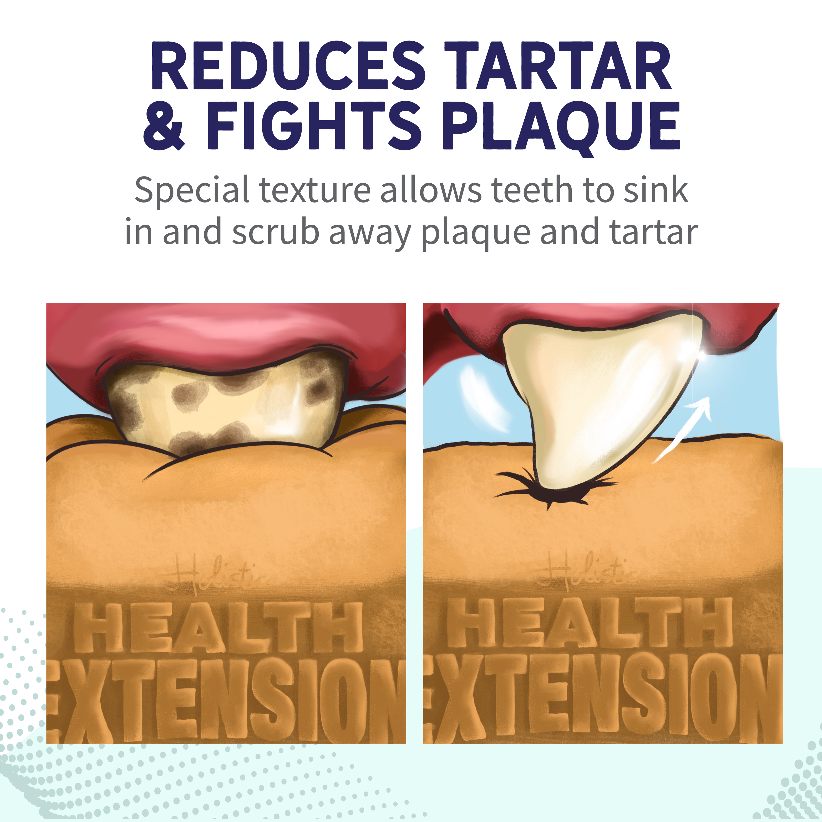 Probiotic Dental Bones