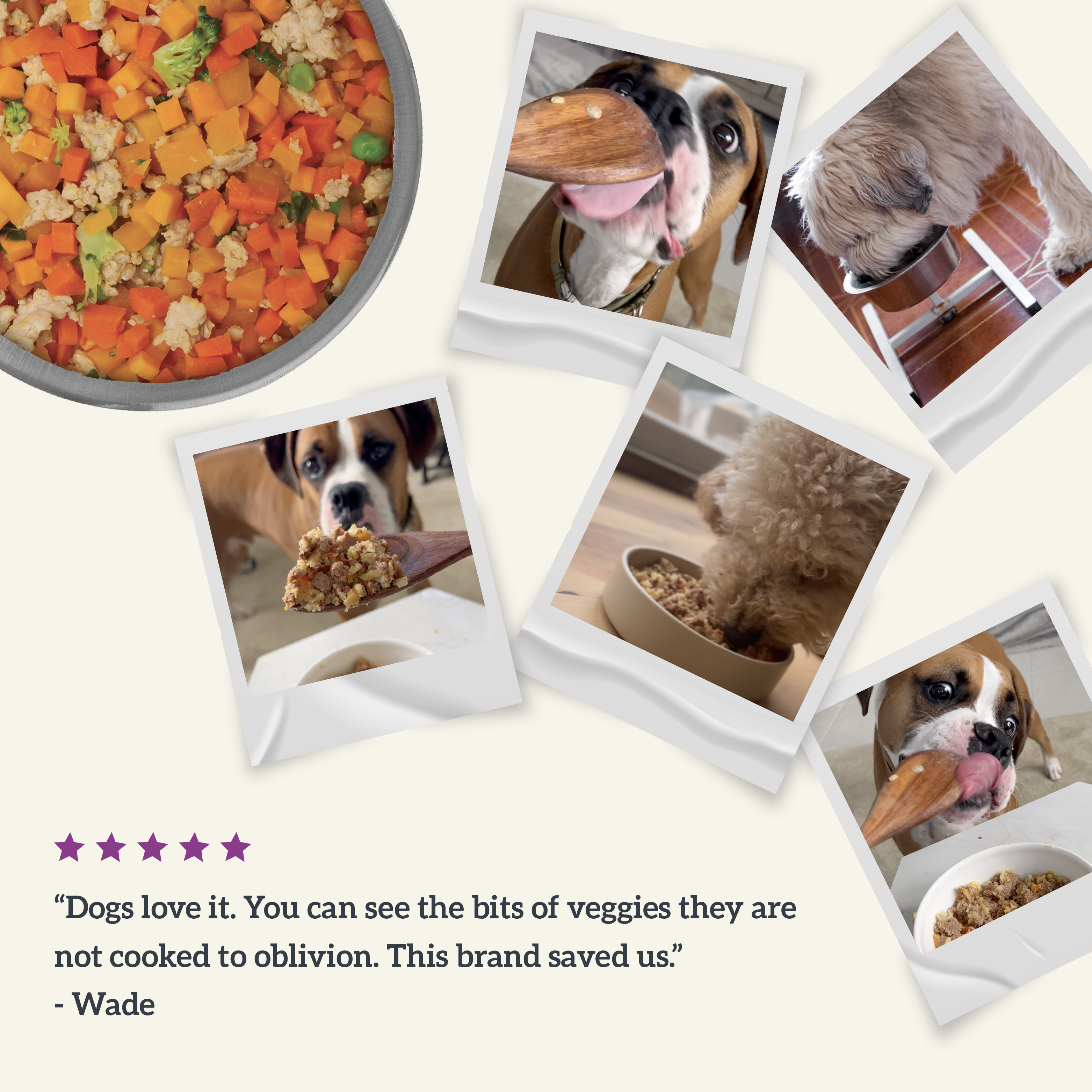 *Gently Cooked Vegetarian 9oz 10 Pack