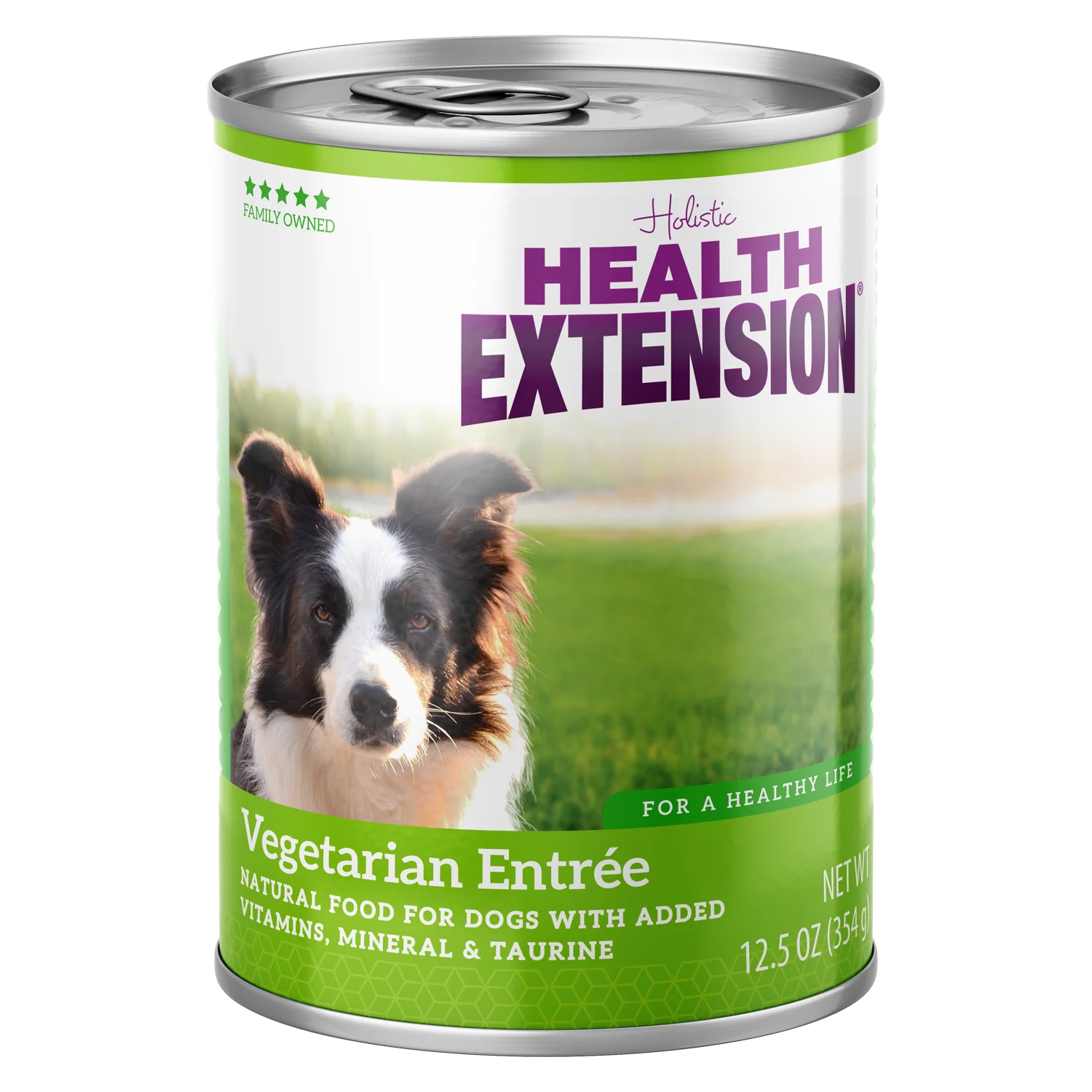 Vegetarian Entree