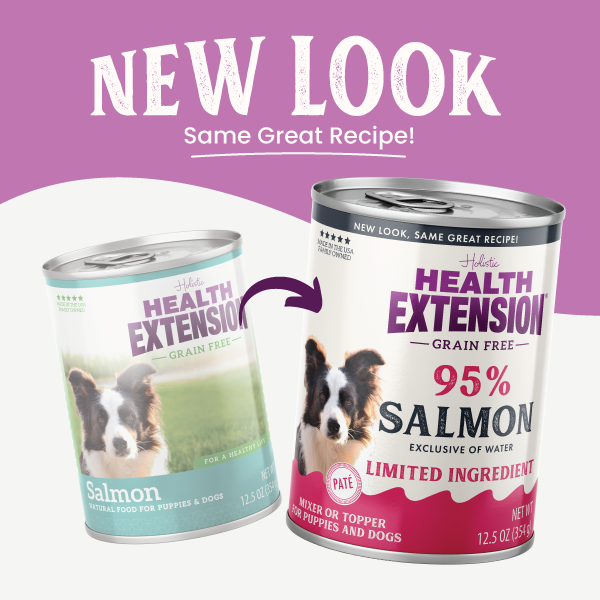 Grain Free 95% Salmon