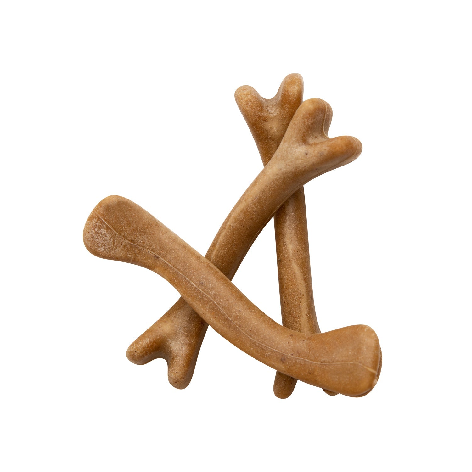 Probiotic Dental Bones