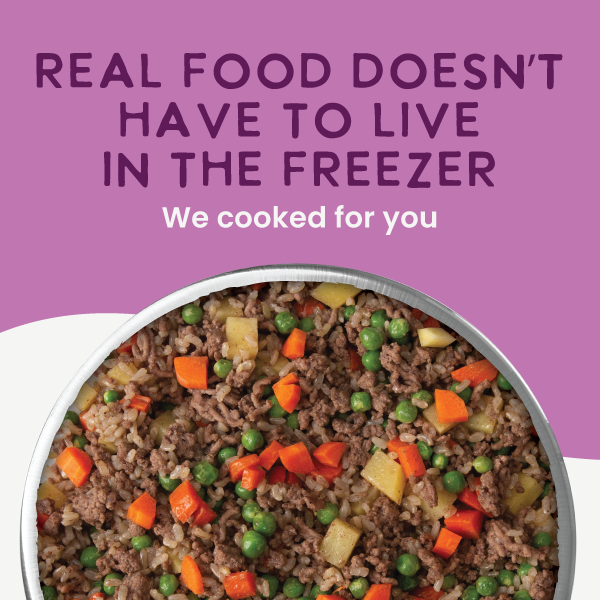 *Gently Cooked Beef And Potato Recipe 3oz 20 Pack