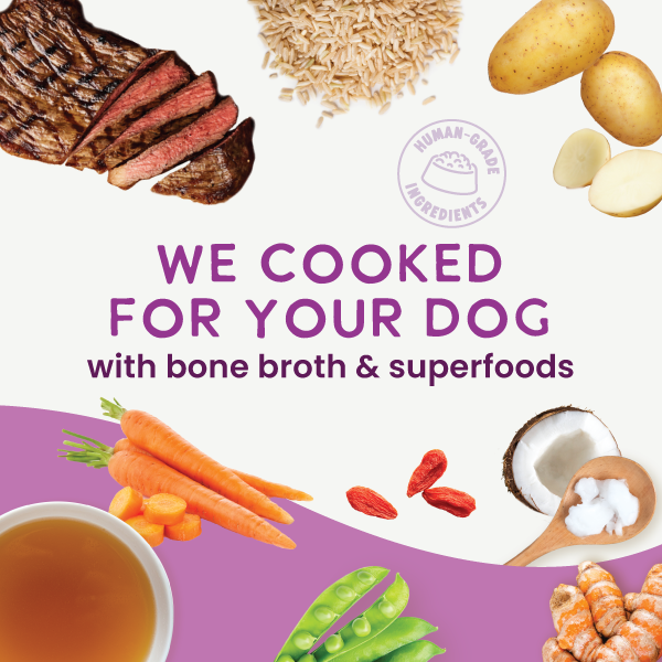 *Gently Cooked Beef And Potato Recipe 3oz 20 Pack