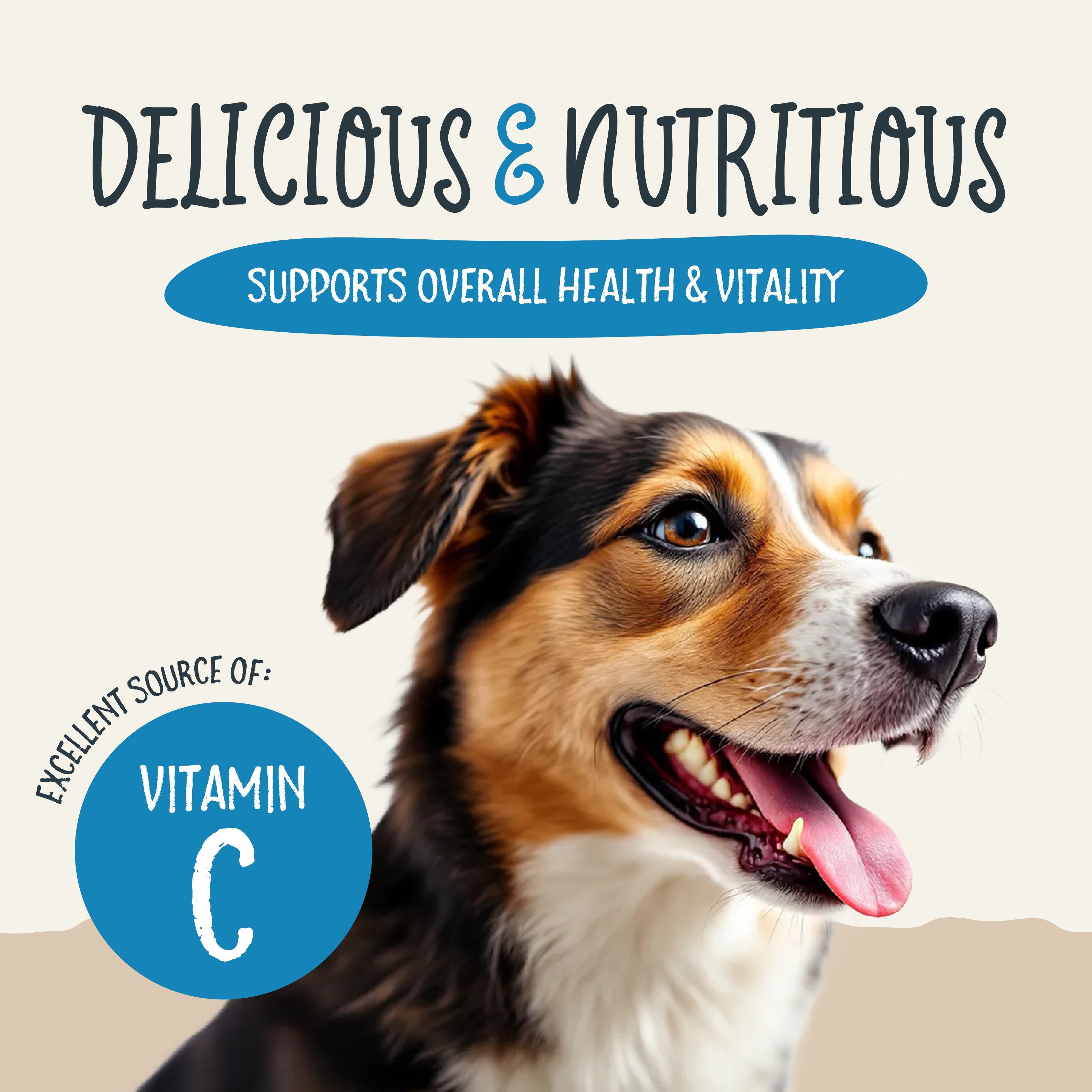 Sammy Snacks graphic showing how the treats are an excellent source of vitamin c and supports overall health and vitality