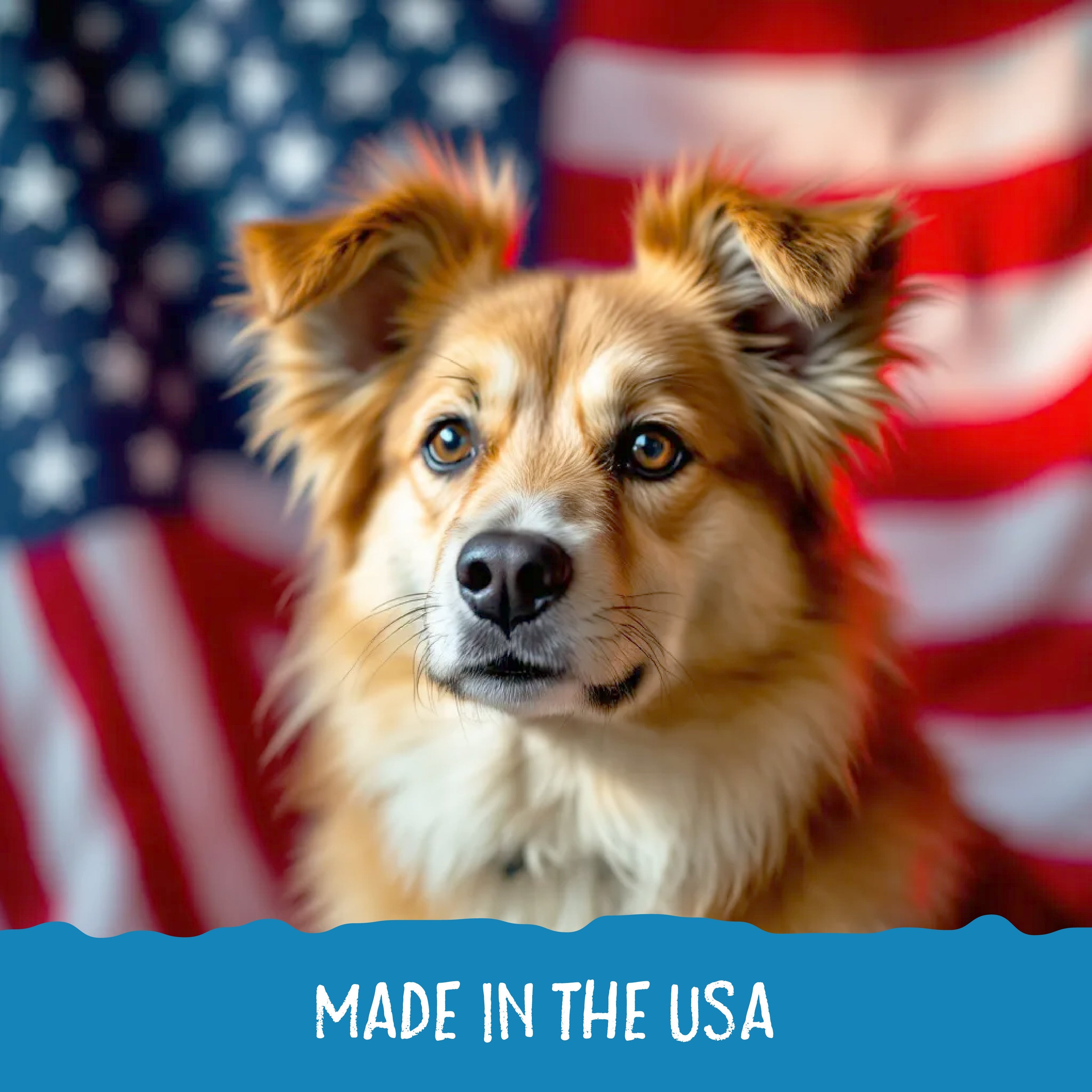Graphic showing a dog with an American flag portraying that Sammy Snacks are made in the USA