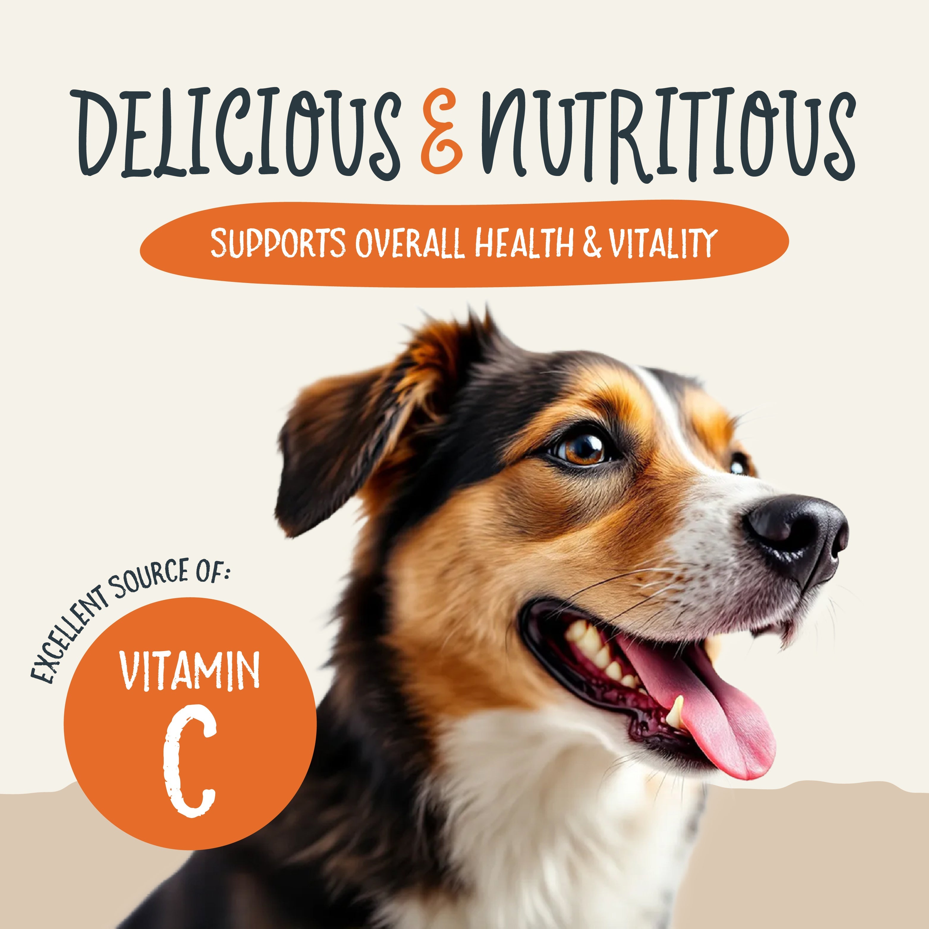 Sammy Snacks graphic showing how the treats are an excellent source of vitamin c and supports overall health and vitality