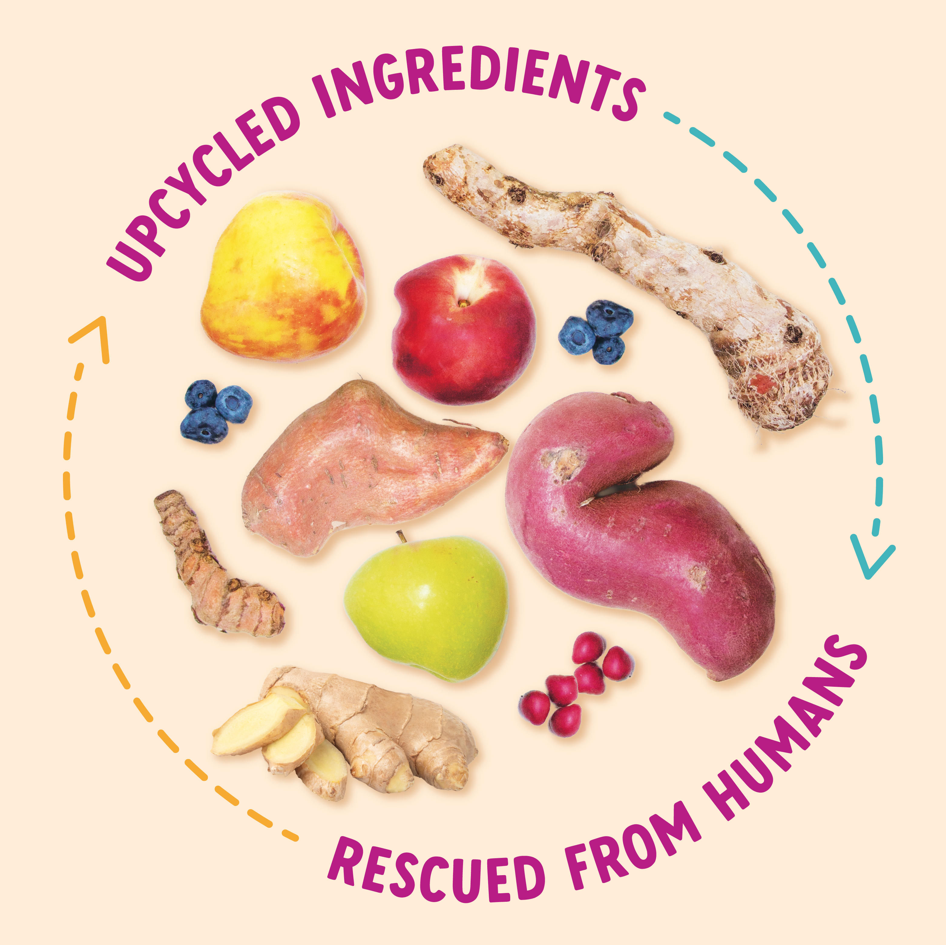 Impawfect Blueberry & Chia Seeds for Immunity Support