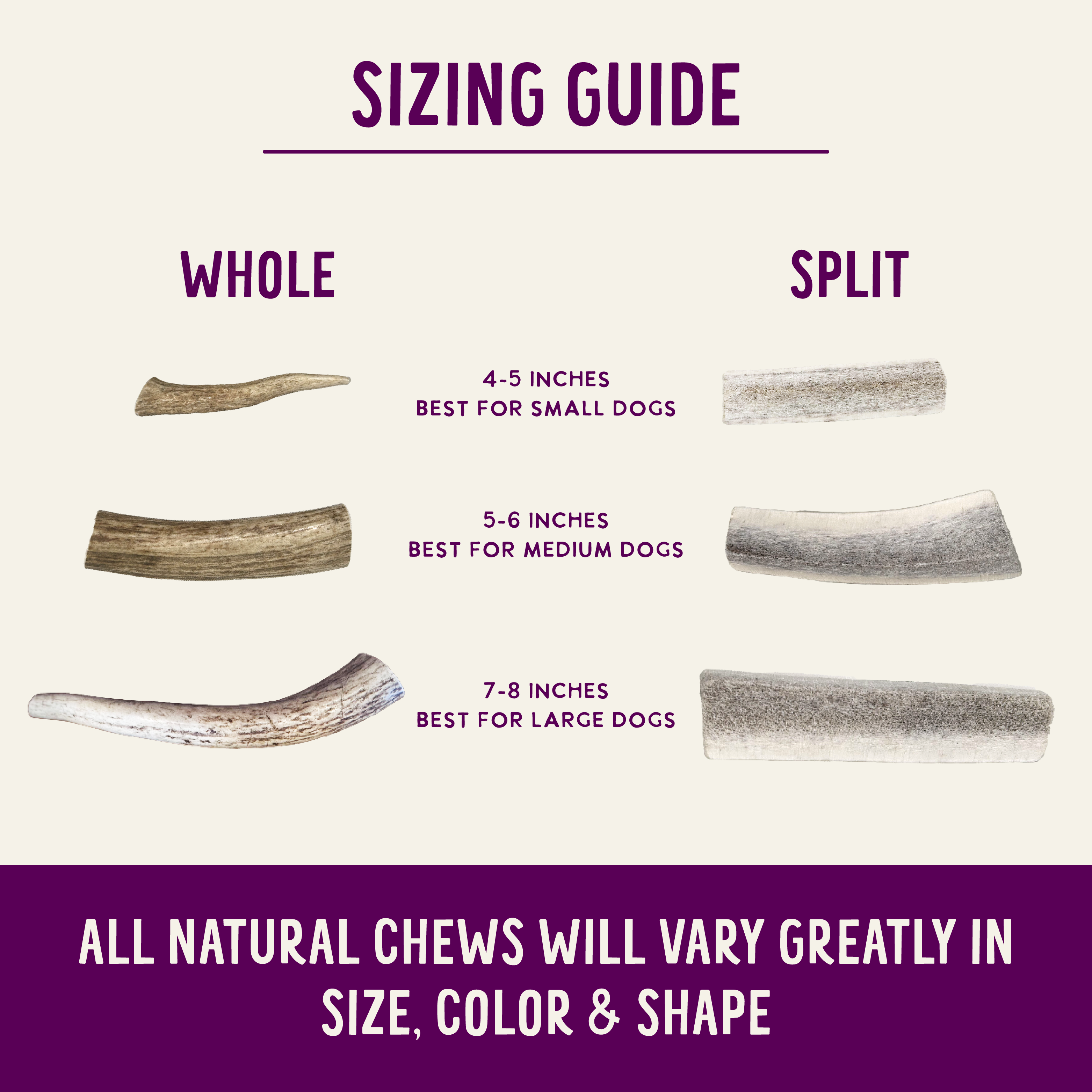 Natural Elk Antlers - Whole