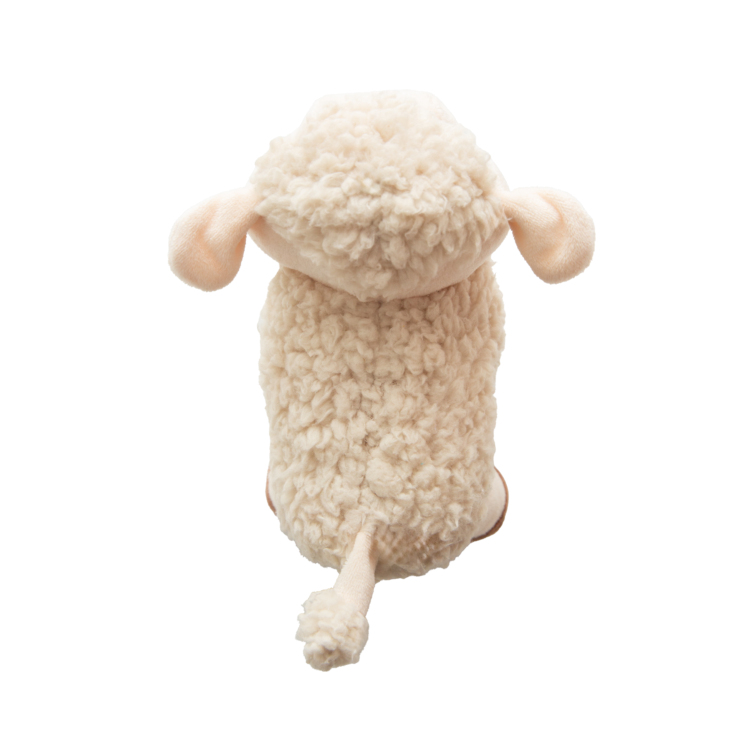 Meryl Sheep