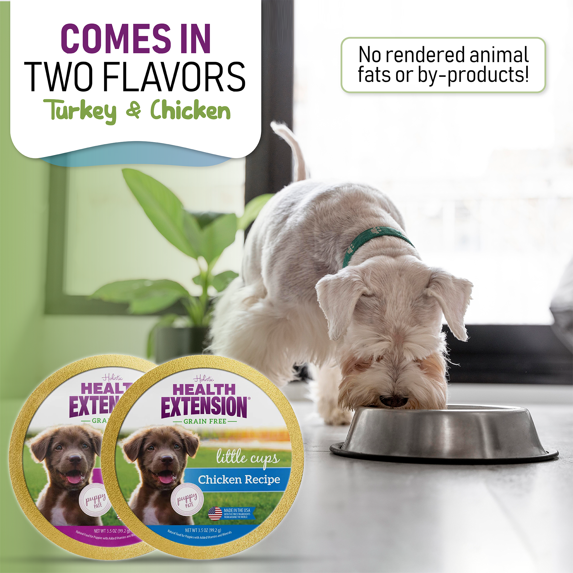 Little Cups for Puppies