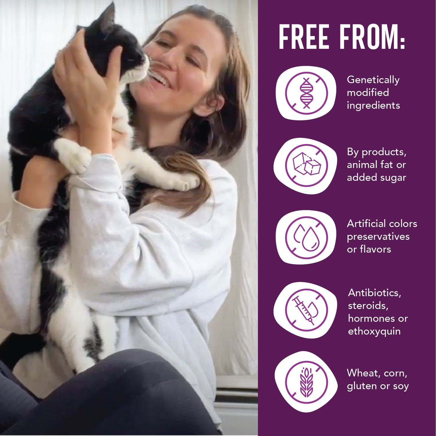 Grain Free Canned Cat Food Variety Pack