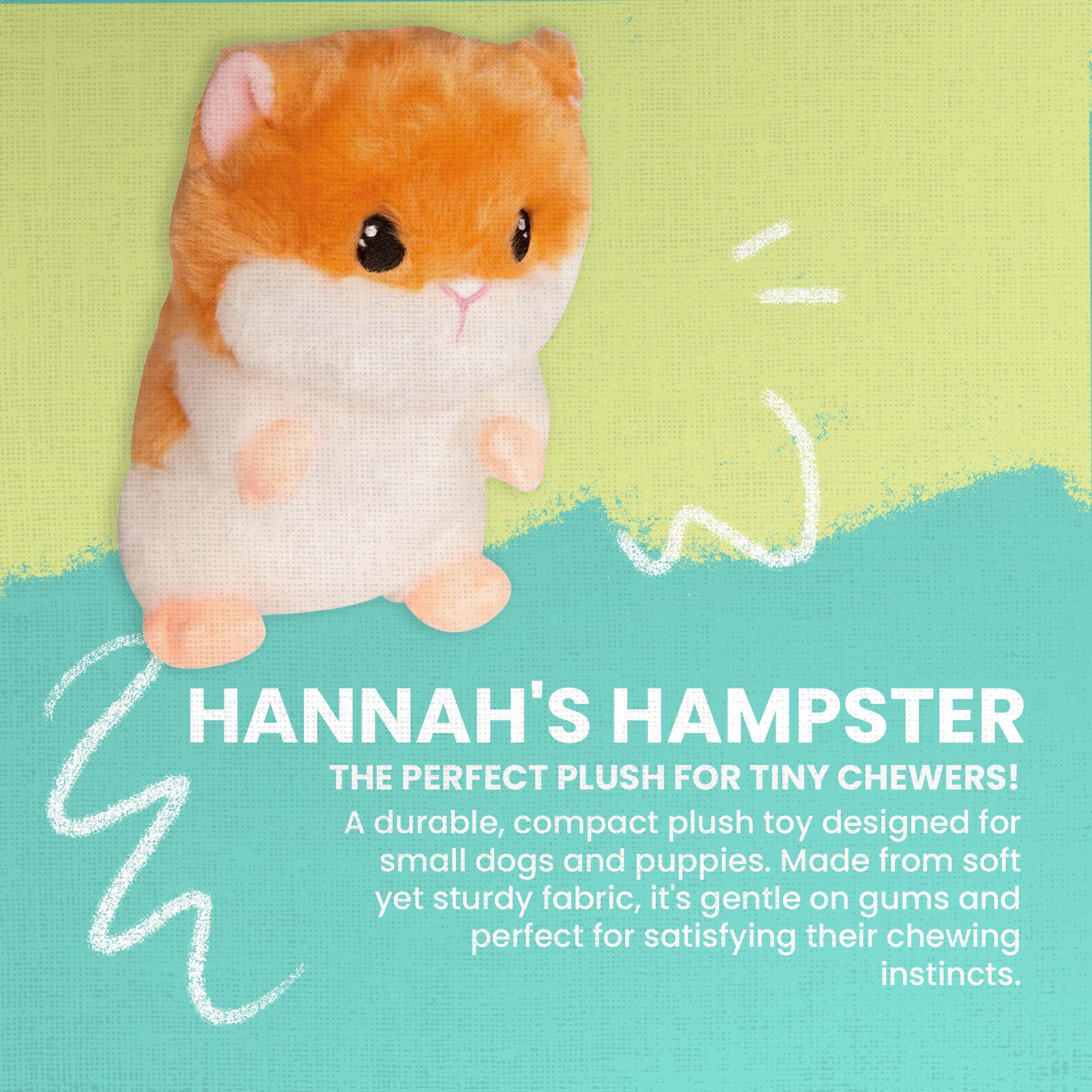 Hannah's Hamster