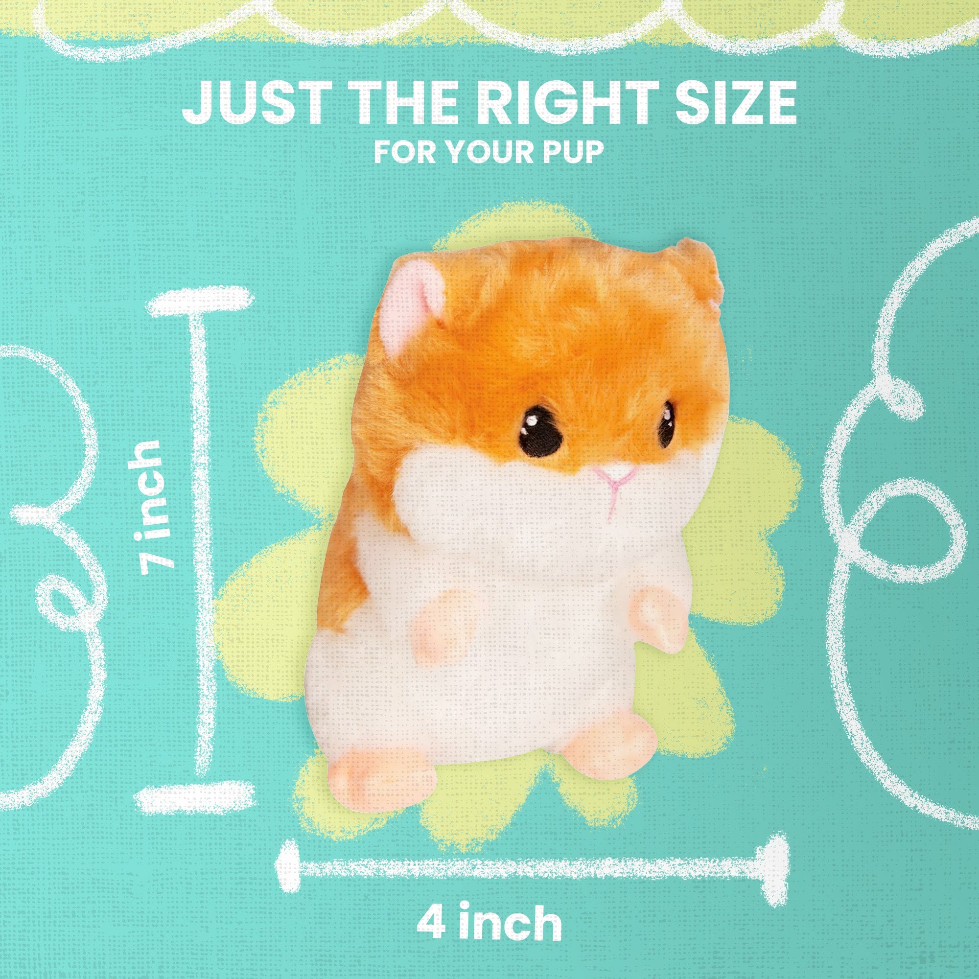 Hannah's Hamster