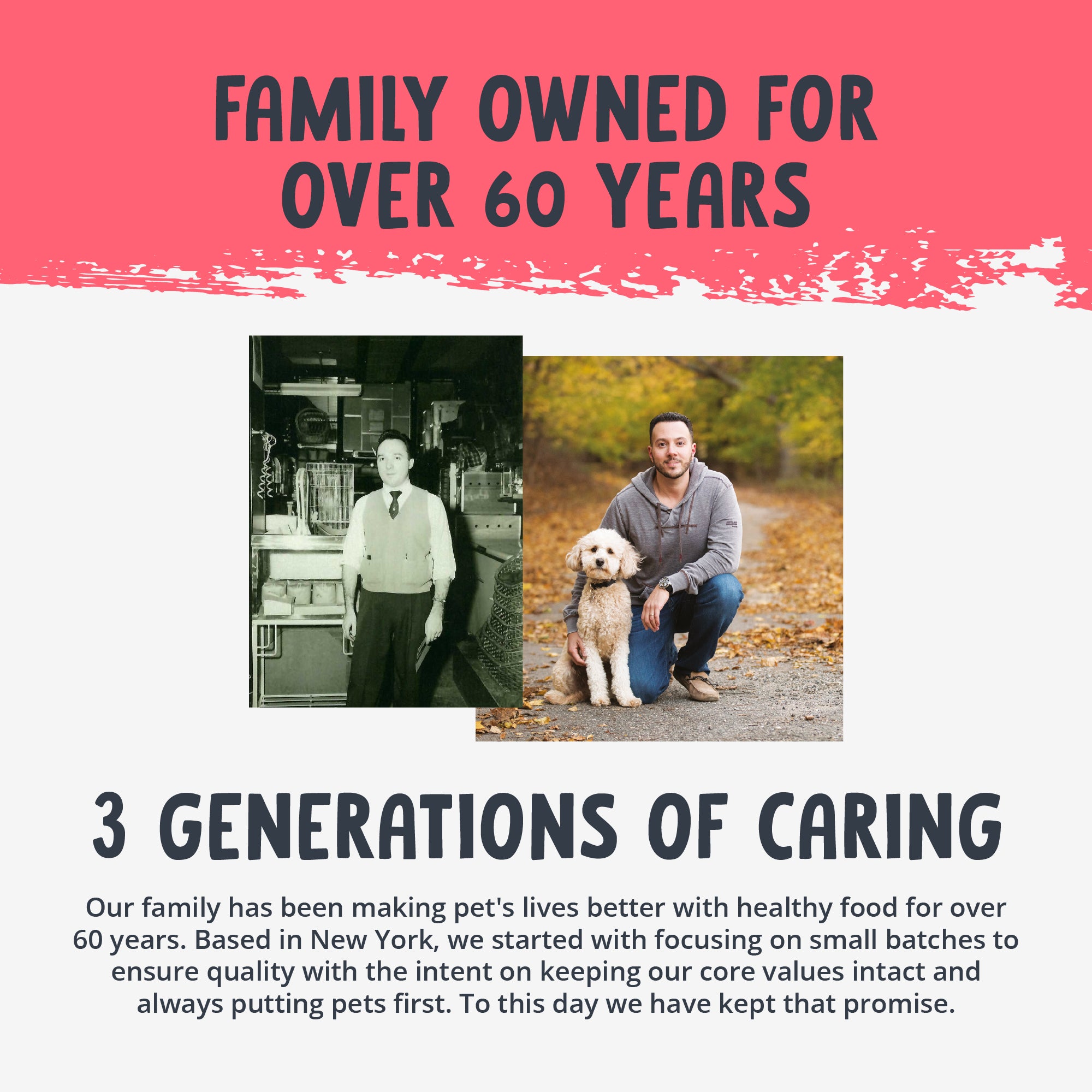 Equine Apple Bites Treats with Colostrum