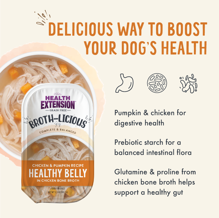 Broth-Licious Chicken & Pumpkin in Bone Broth - Healthy Belly Recipe for Adult Dogs