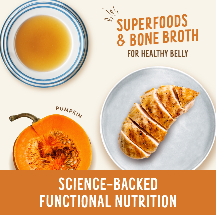 Broth-Licious Chicken & Pumpkin in Bone Broth - Healthy Belly Recipe for Adult Dogs