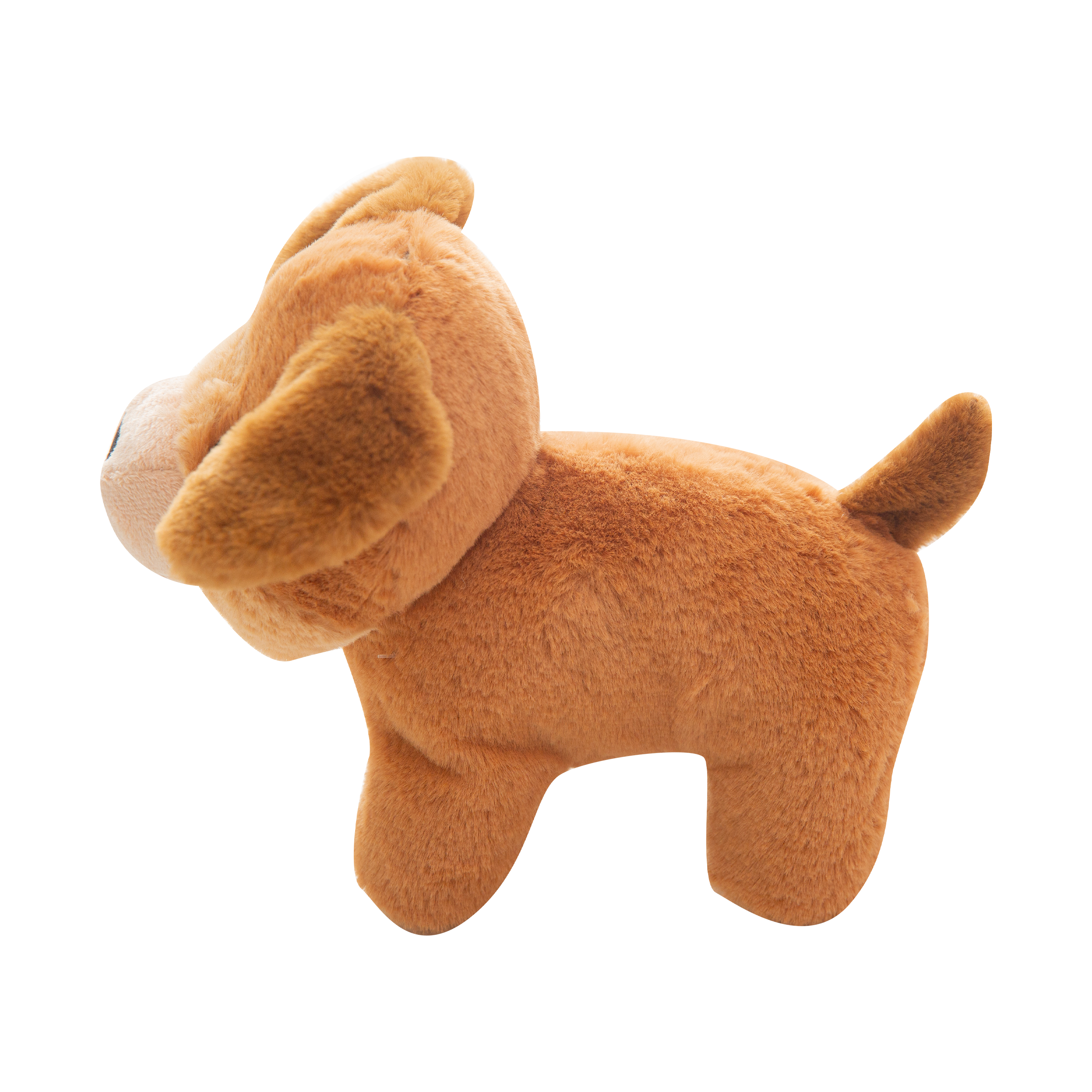 Biscuit