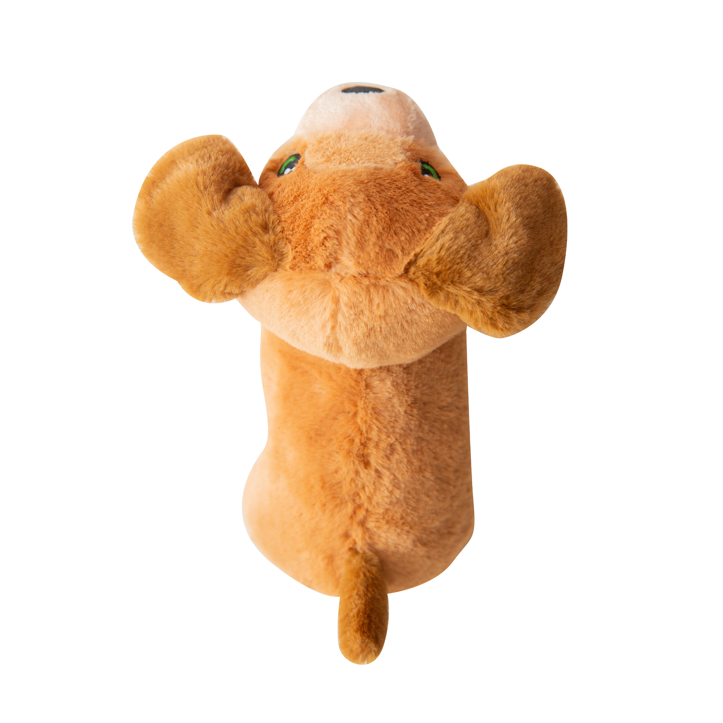 Biscuit