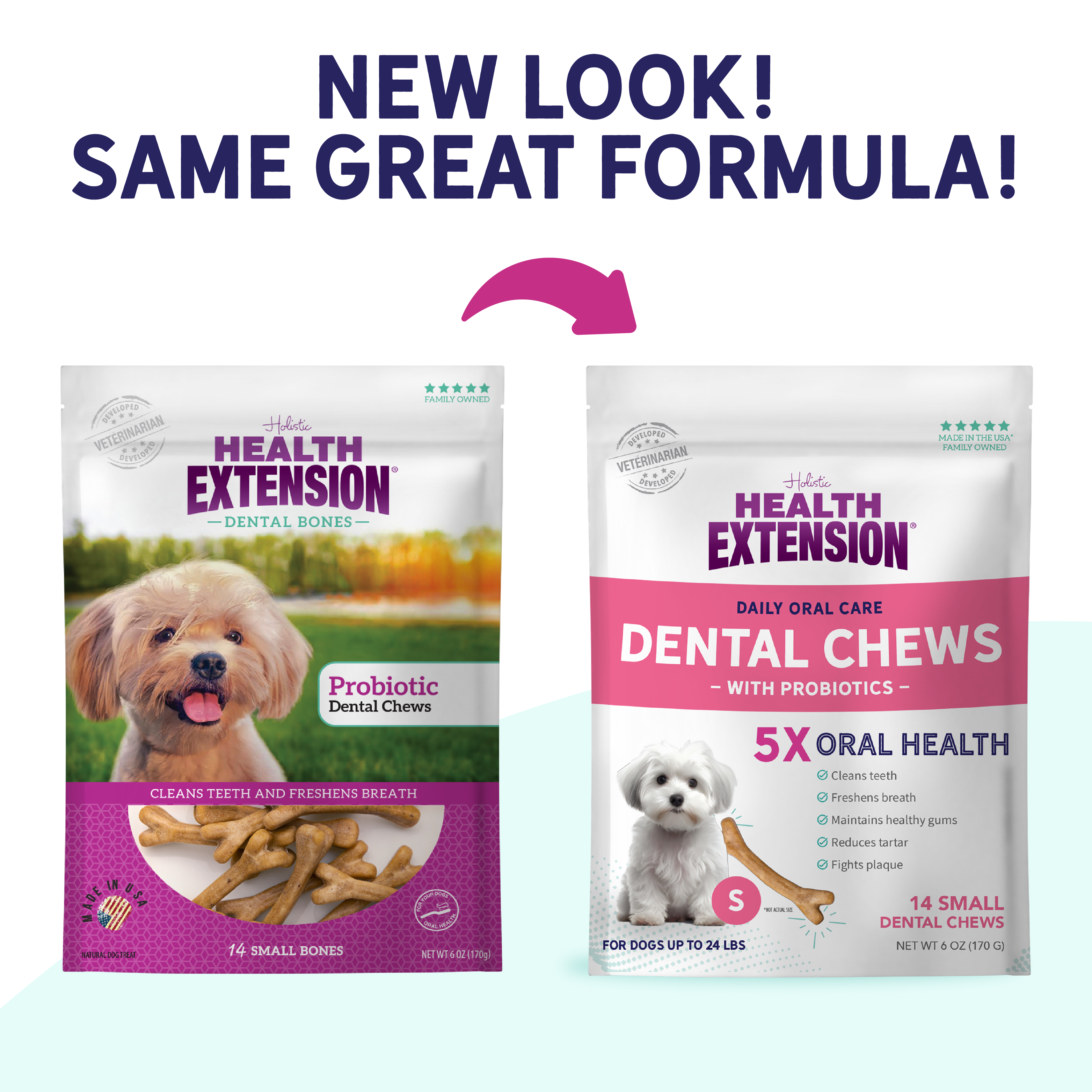 Probiotic Dental Bones