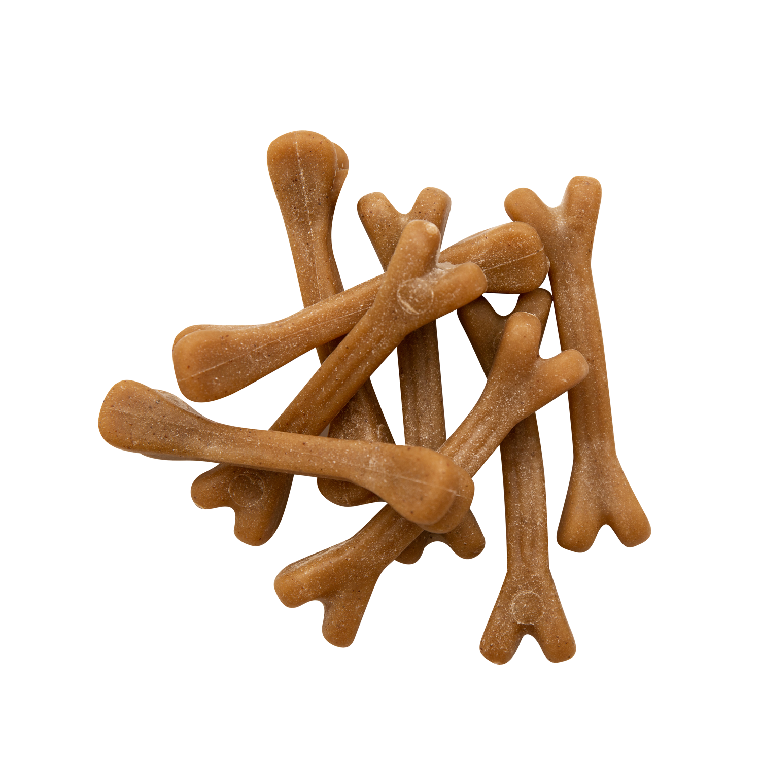 Fresh Breath Dental Bones