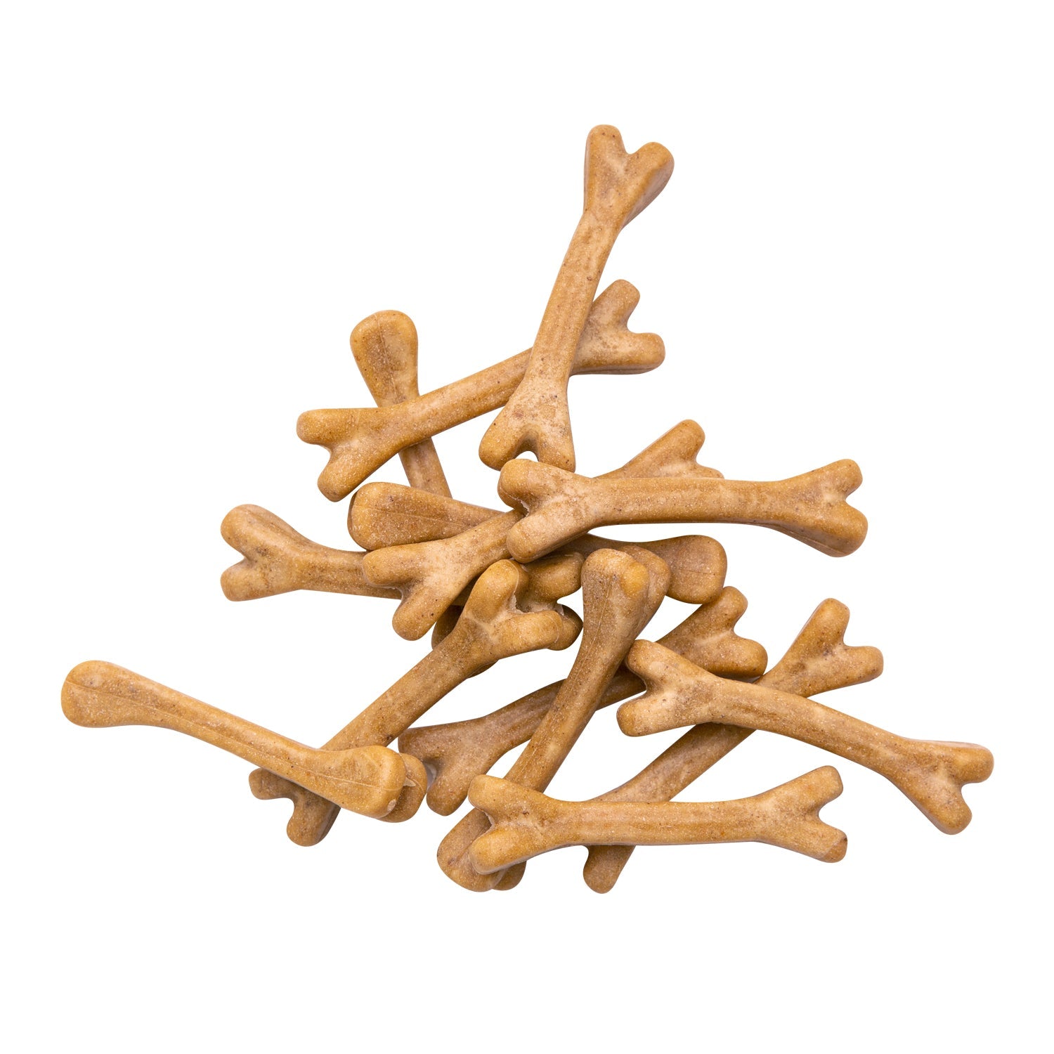 Probiotic Dental Bones