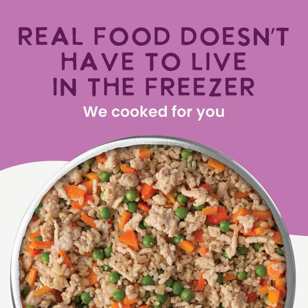 Gently Cooked 3oz Counter Display