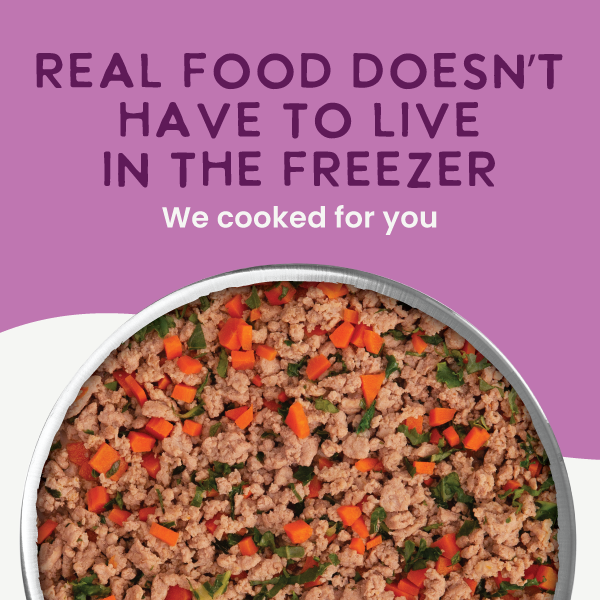 Gently Cooked Grain Free Sidekick