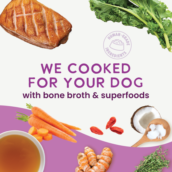 Gently Cooked Duck & Kale Recipe