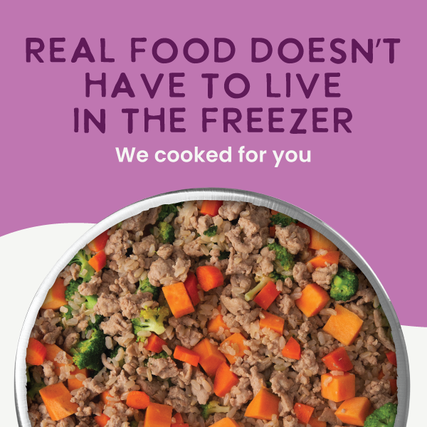 *Gently Cooked Lamb And Carrot Recipe 3oz 20 Pack