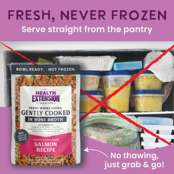 *Gently Cooked Grain Free Salmon Recipe 3oz 20 Pack
