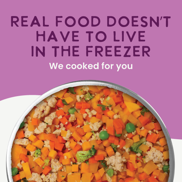 *Gently Cooked Grain Free Vegetarian Recipe 3oz 20 Pack