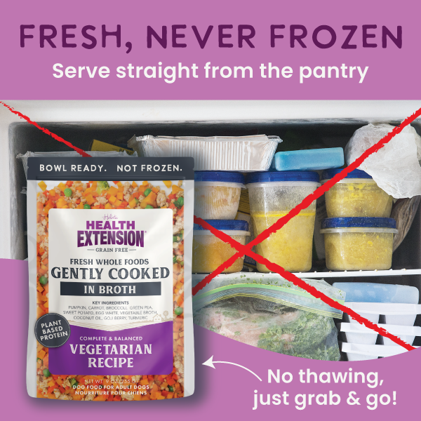 *Gently Cooked Grain Free Vegetarian Recipe 3oz 20 Pack