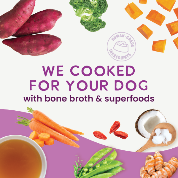 *Gently Cooked Grain Free Vegetarian Recipe 3oz 20 Pack