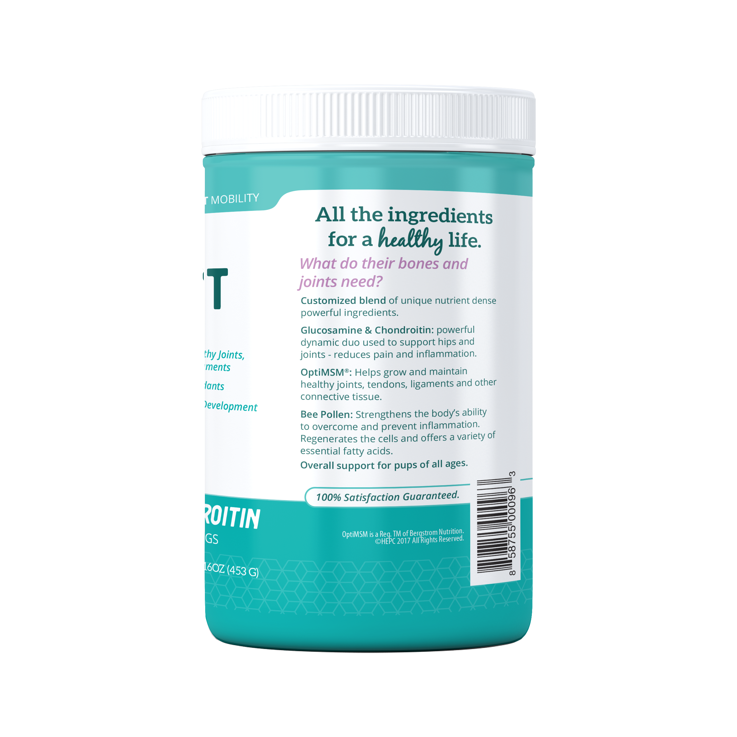 HIP + JOINT Mobility Supplement