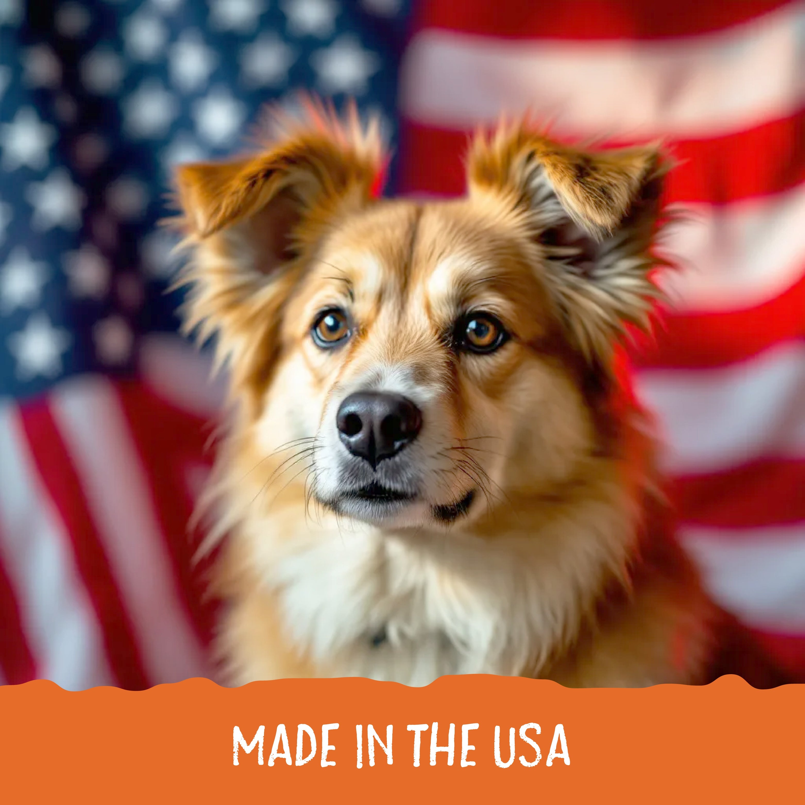 Graphic showing a dog with an American flag portraying that Sammy Snacks are made in the USA