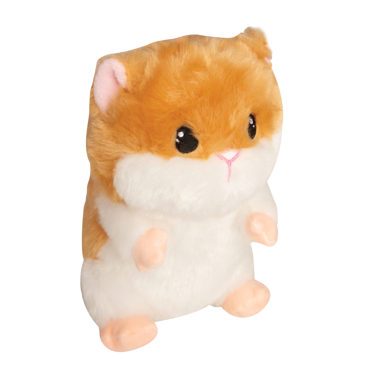 Hannah's Hamster