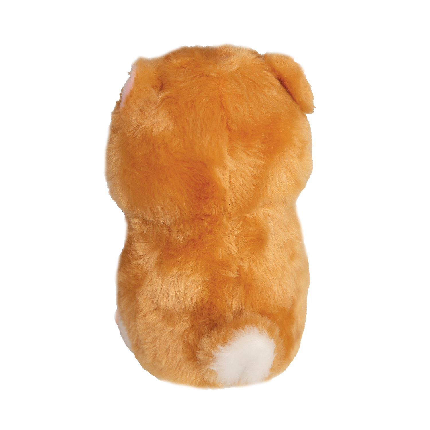 Hannah's Hamster