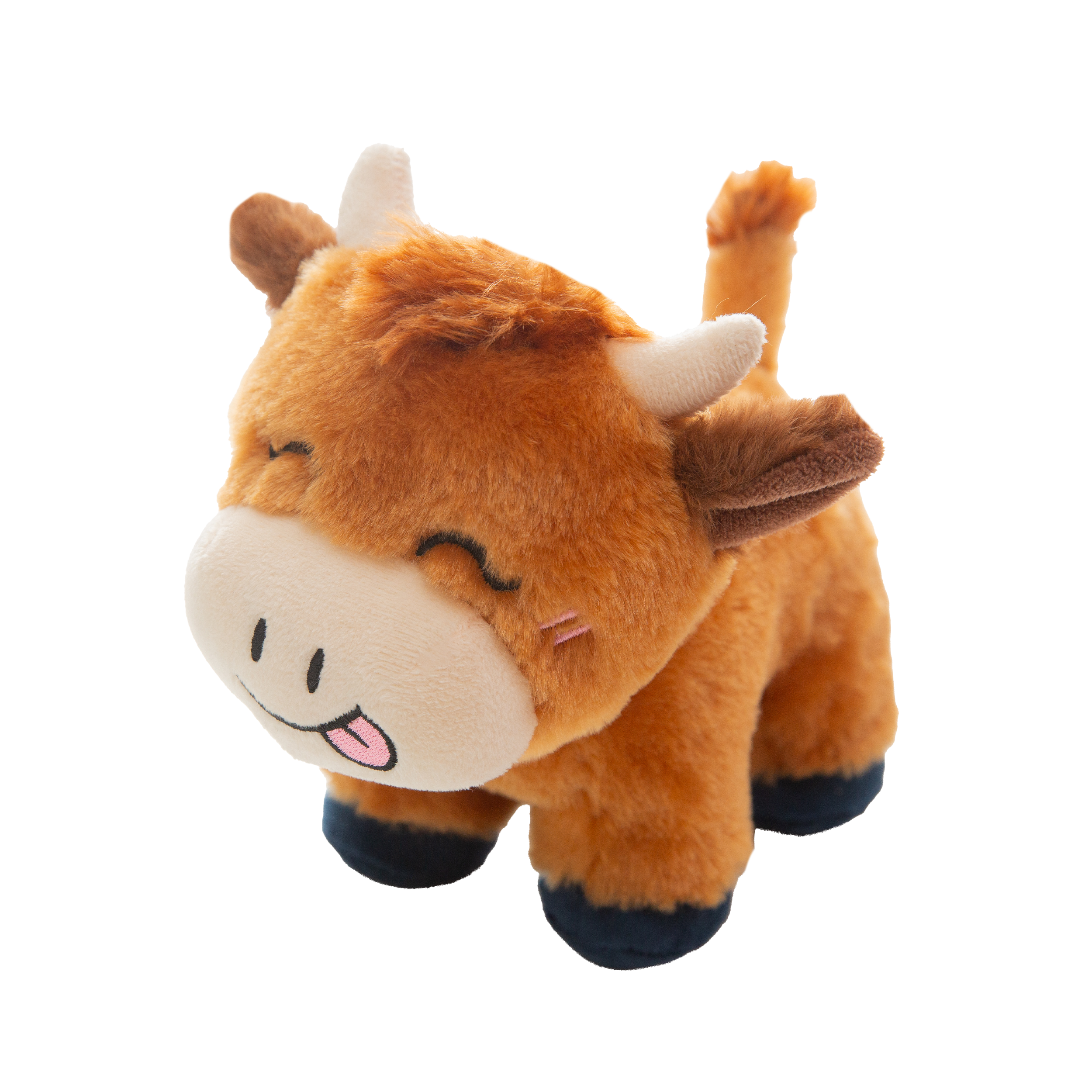 Howdy the Highland