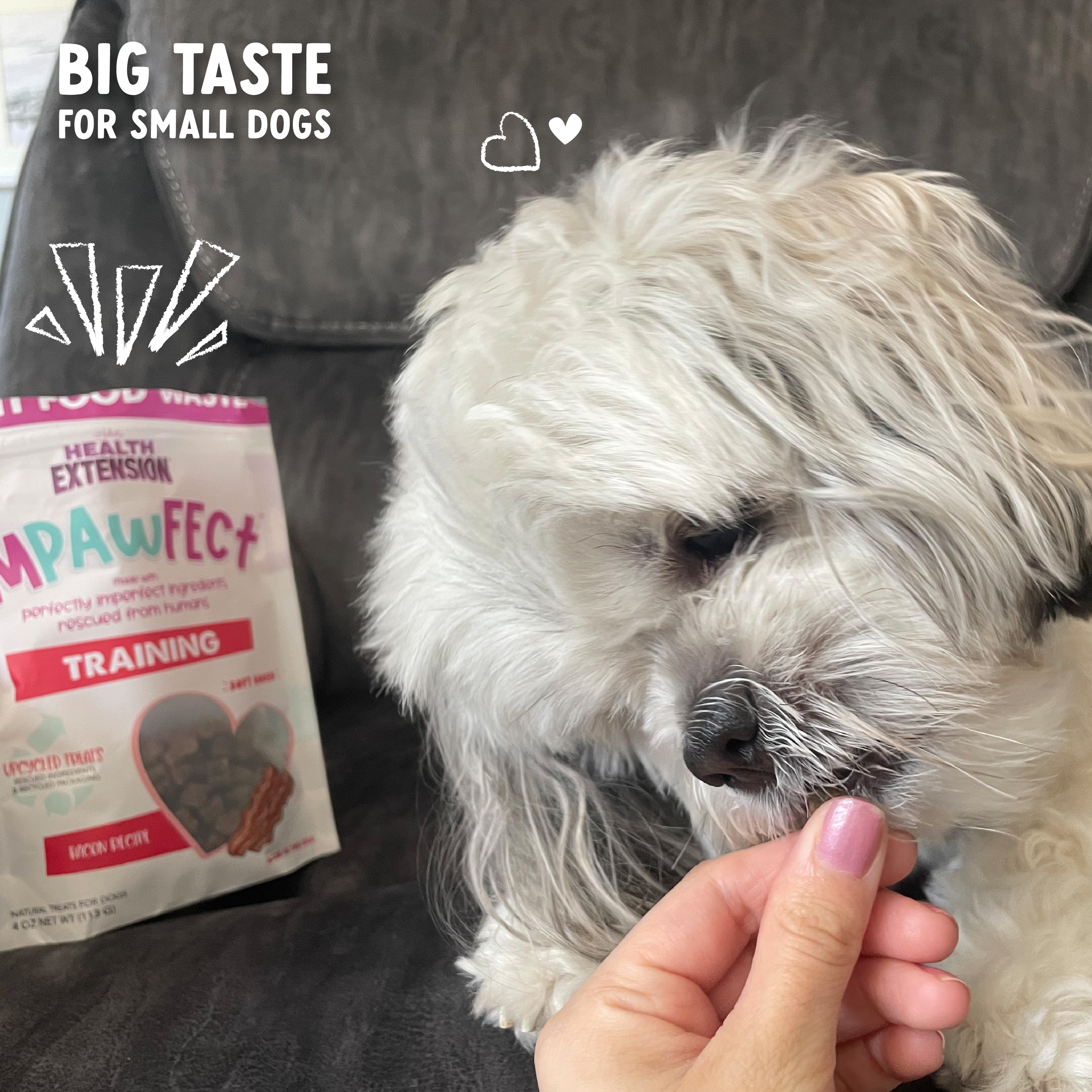 Impawfect Bacon Training Treats