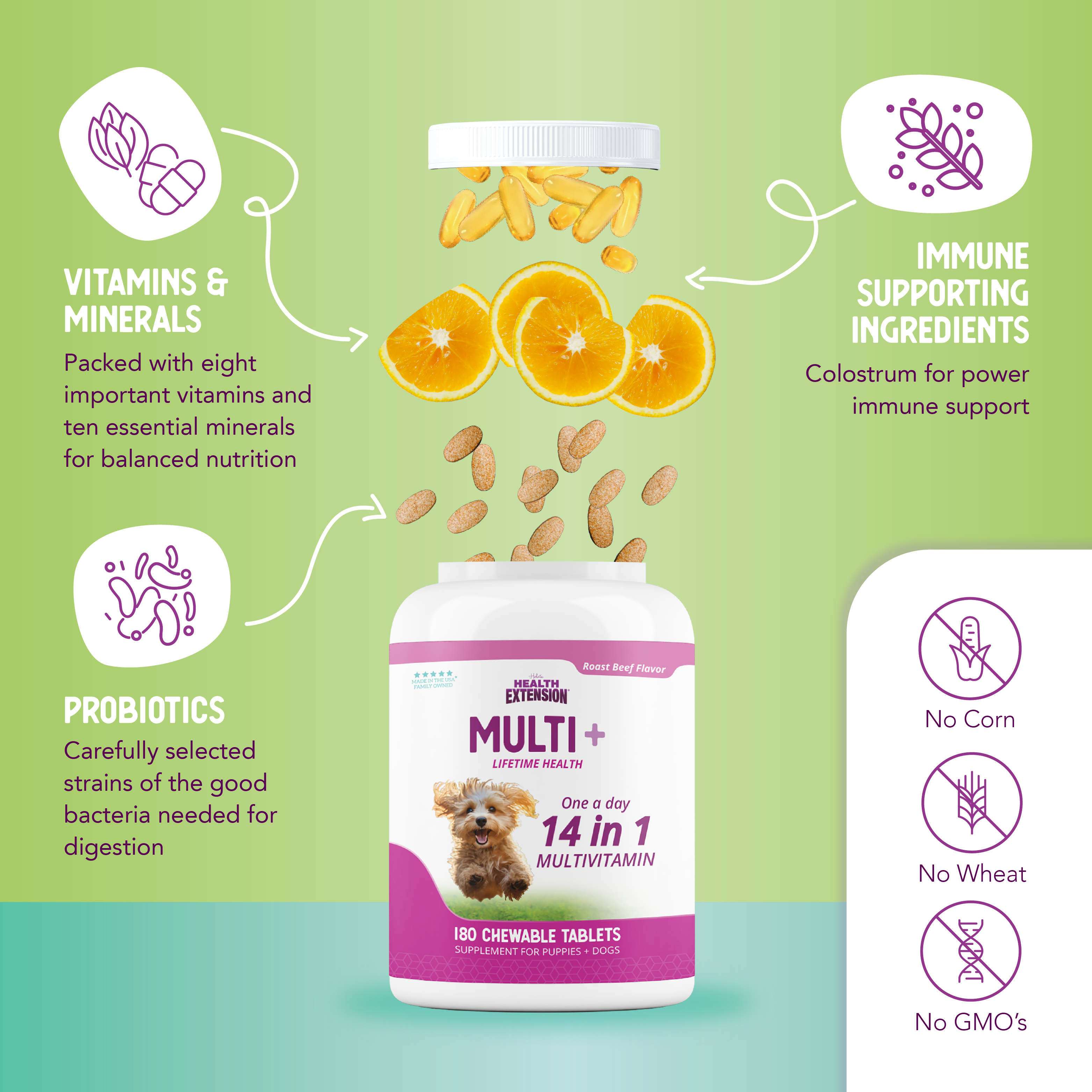 Infographic showing essential vitamins, probiotics, and immune supporting ingredients in lifetime vitamins