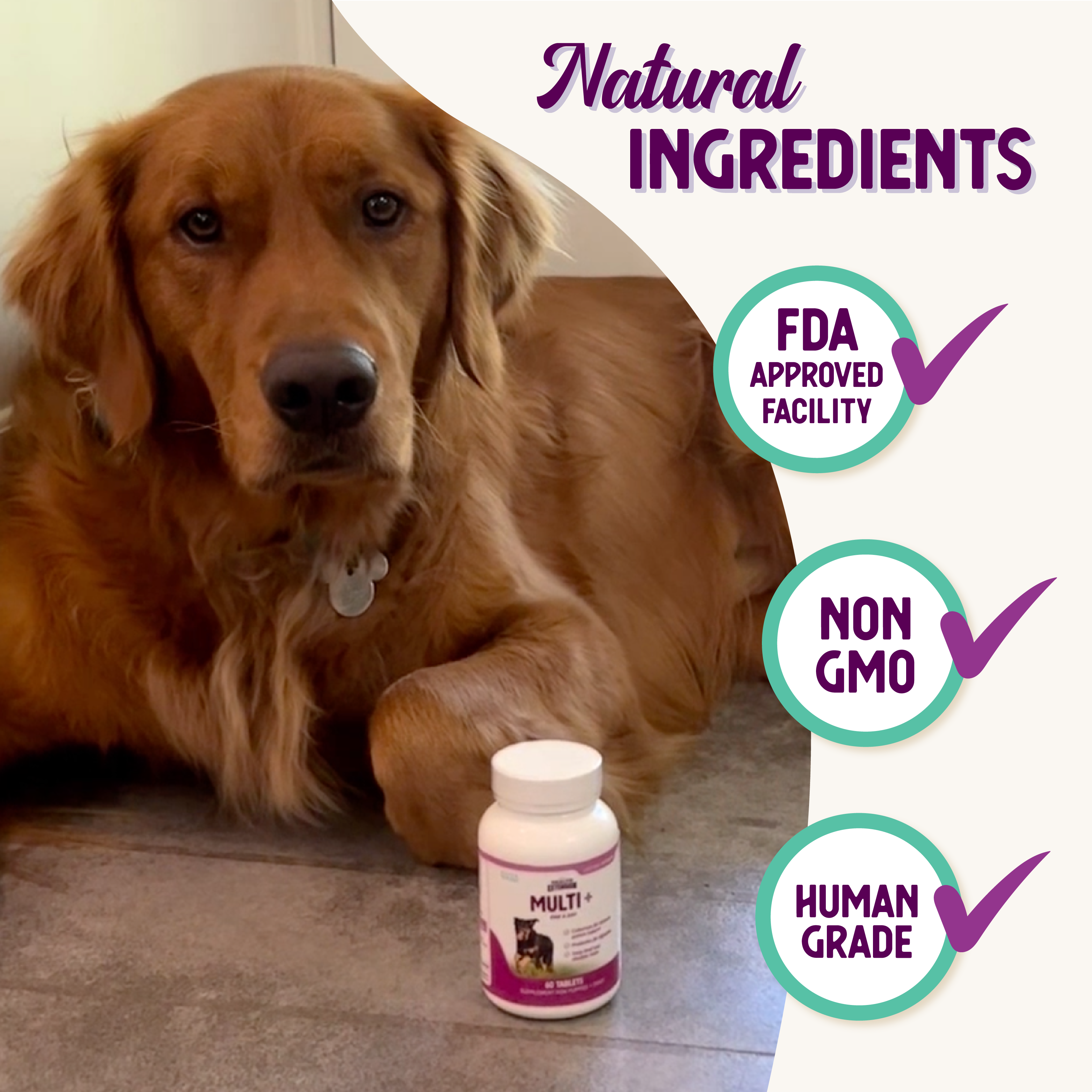 Infographic showing natural ingredients of lifetime vitamins