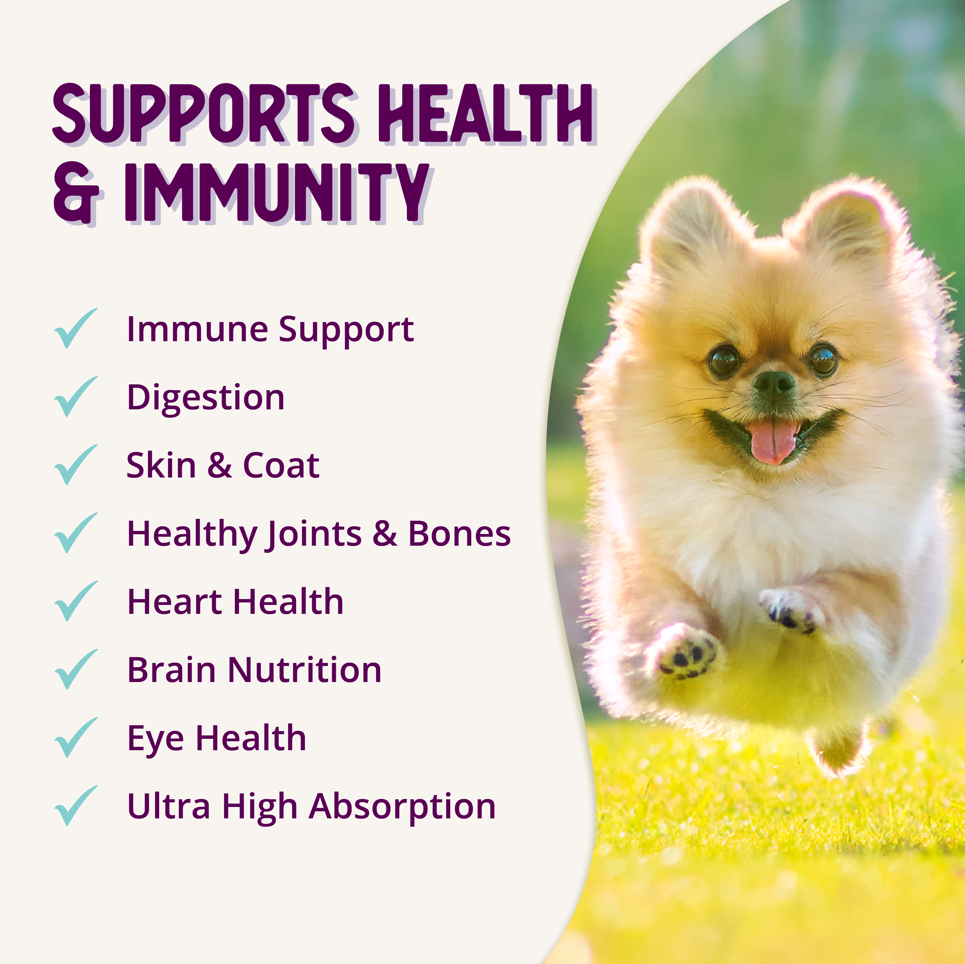 Infographic showing all healthy qualities of lifetime vitamins