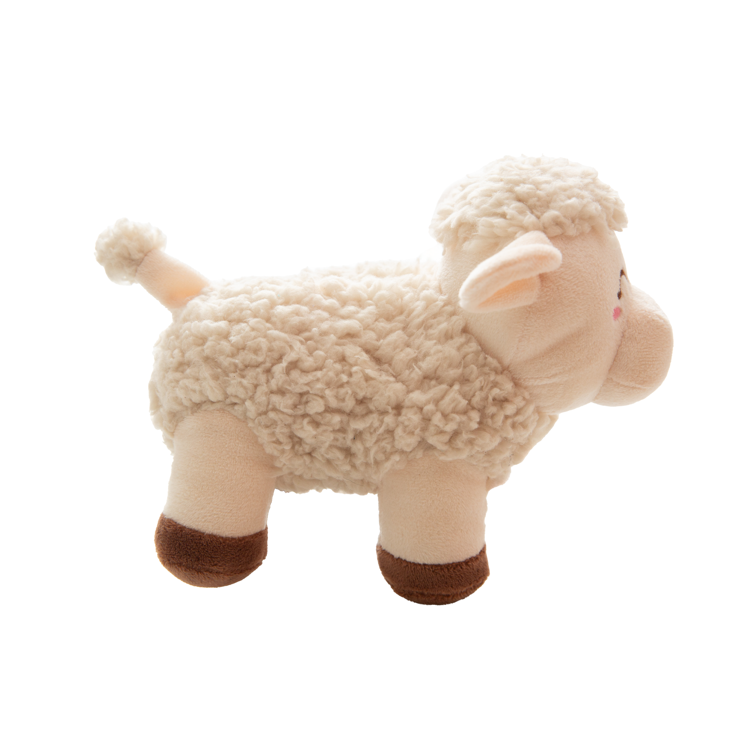 Meryl Sheep