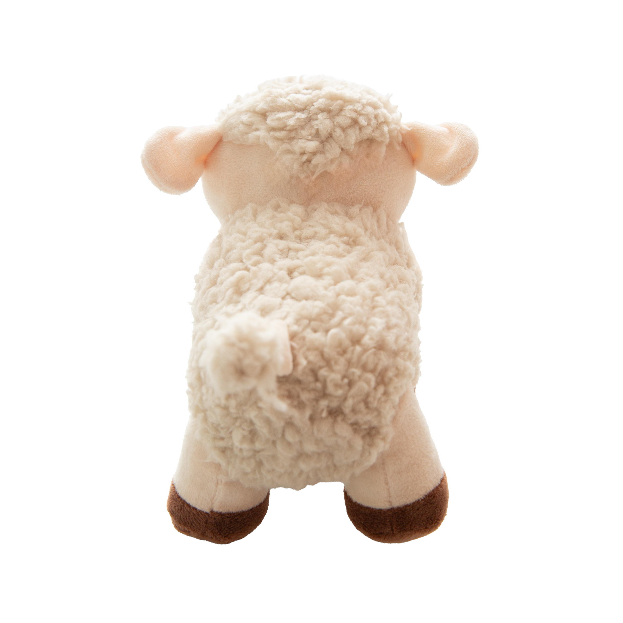 Meryl Sheep