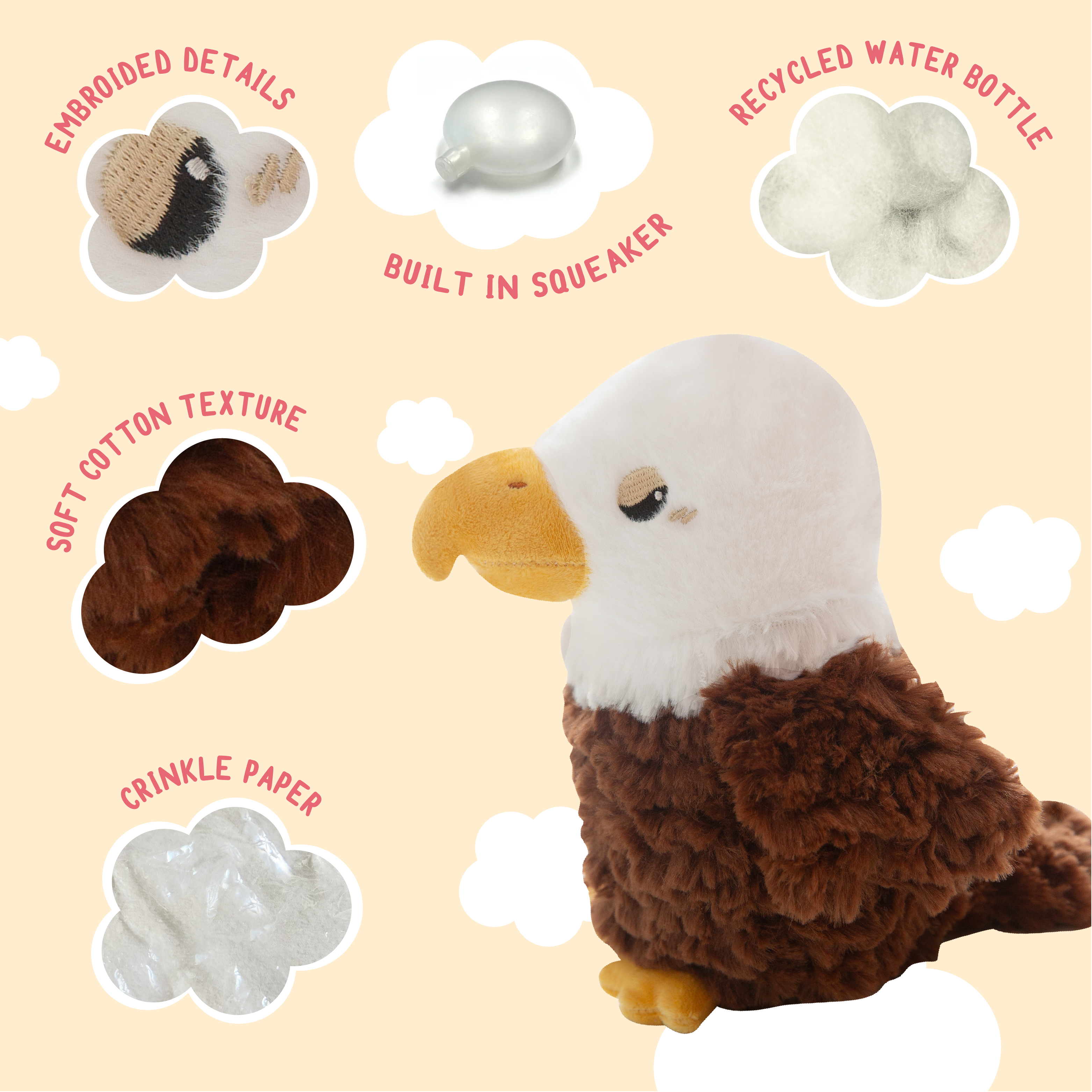 Evan the Eagle